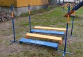 Skok w dal do agility