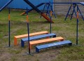 Skok w dal do agility
