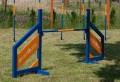 Stacjonata do agility