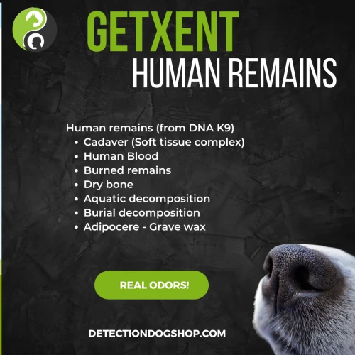 Getxent_Human_remains_DNAK9.webp