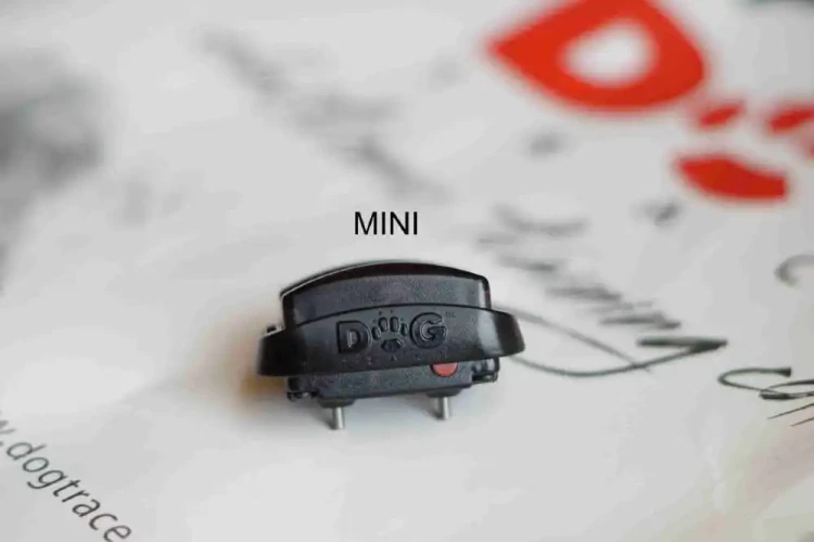 odbiornik mini.webp