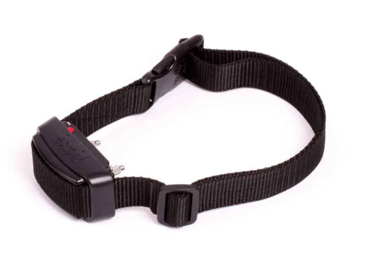 elektryczna-obroza-d-control-1000-professional5.webp