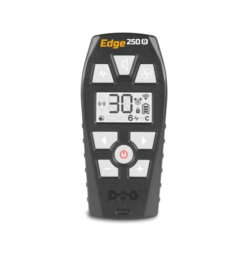 pilot-250R.webp