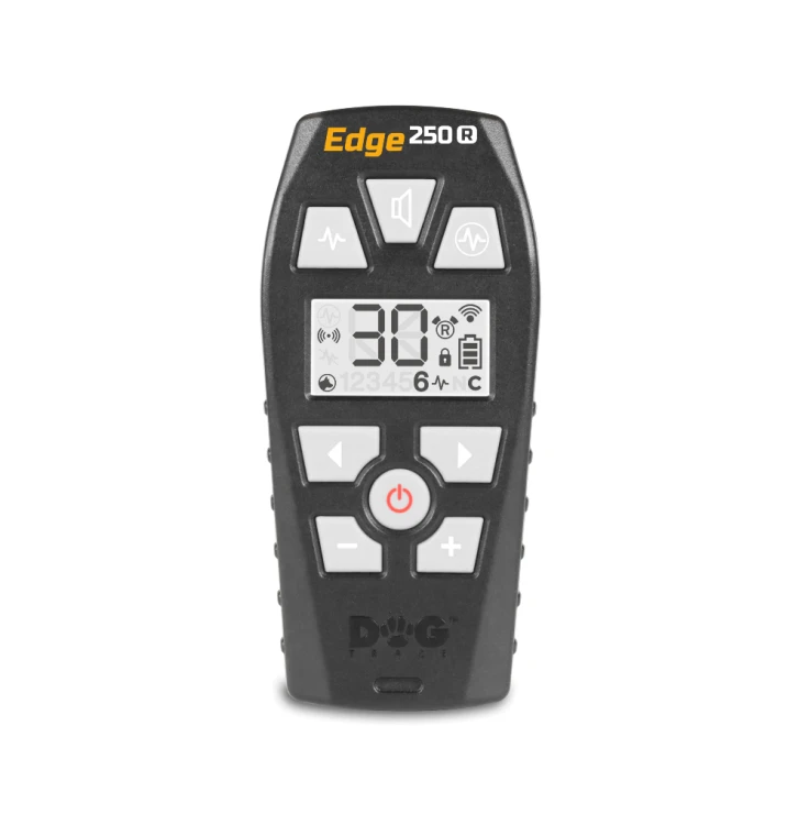 pilot-250R.webp