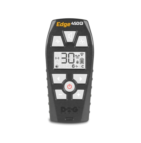 pilot-450R.webp