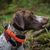 DOG-GPS-X20-4.webp