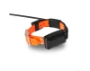 obroza-GPS-dla-psa-mysliwskiego.webp