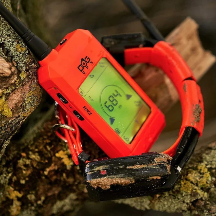 DOG-GPS-X25.webp