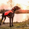 DOG-GPS-X25-7.webp
