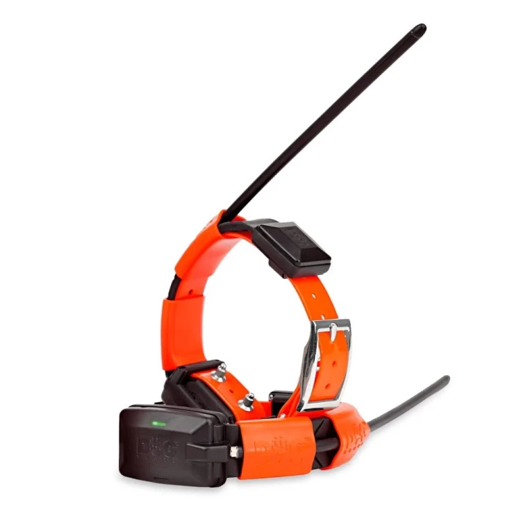 GPS-dla-psow-DOG-GPS-X30T-Mapy-Teletakt-3.webp