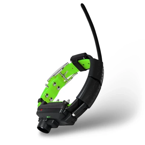 collar-for-another-dog-X30TB-green.webp