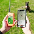 Pilot-DOG-GPS-X30-4.webp