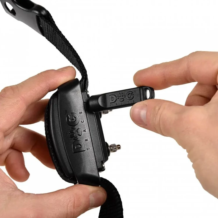 collar-setting.webp