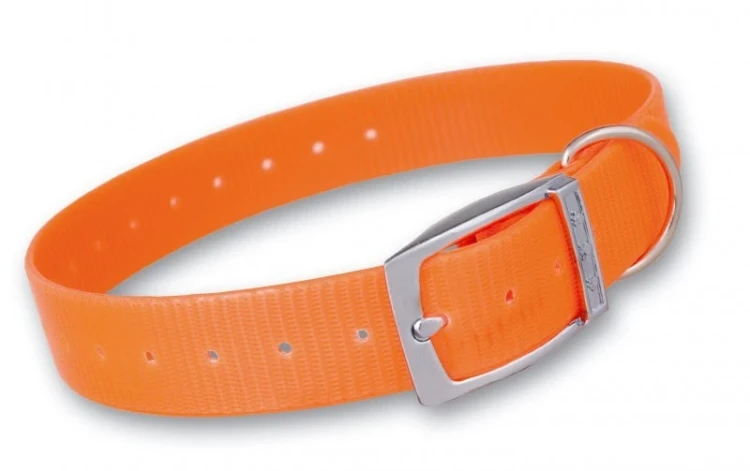 Pasek-orange.webp