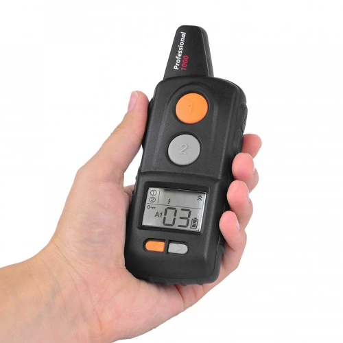 Pilot-d-control-Professional-100.webp