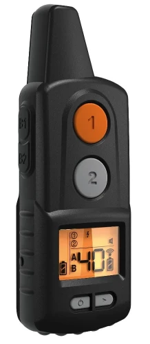 Pilot-d-control-Professional-2000.webp