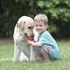 KONG-Classic-zabawka-dla-psa8.webp