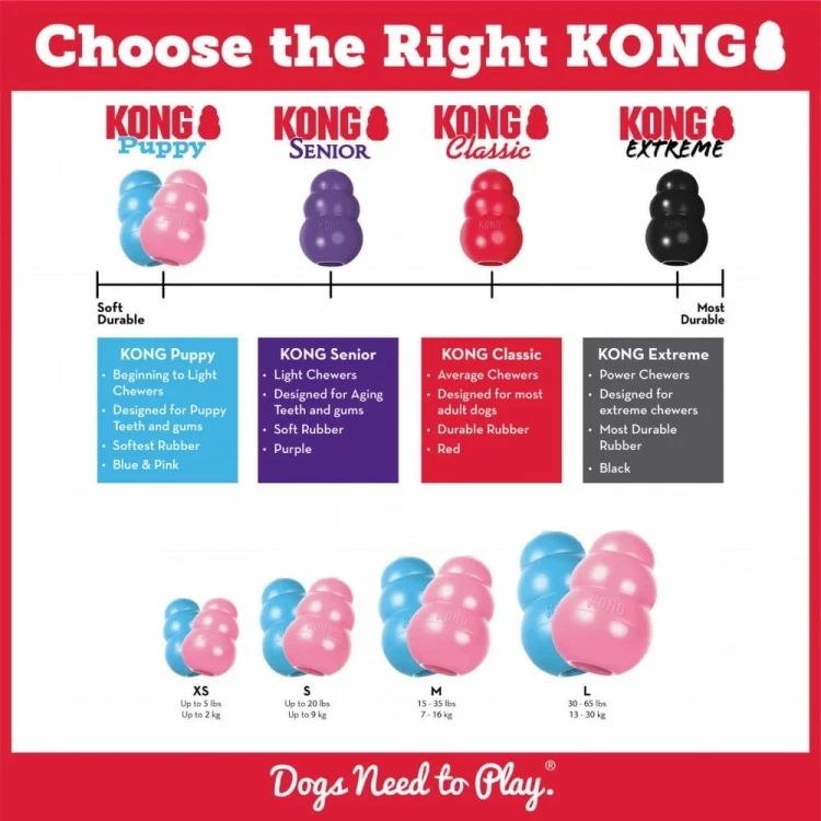 Kong-extreme-6.webp