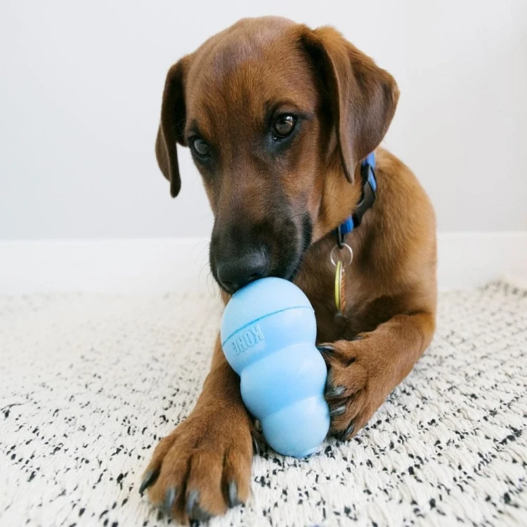 Gryzak-dla-psa-Kong-Puppy-5.webp