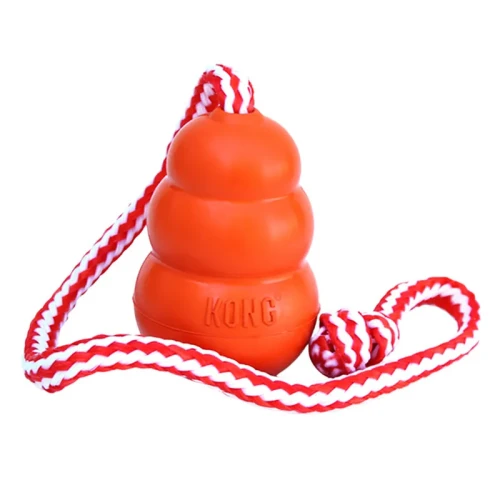 kong_aqua_3.webp