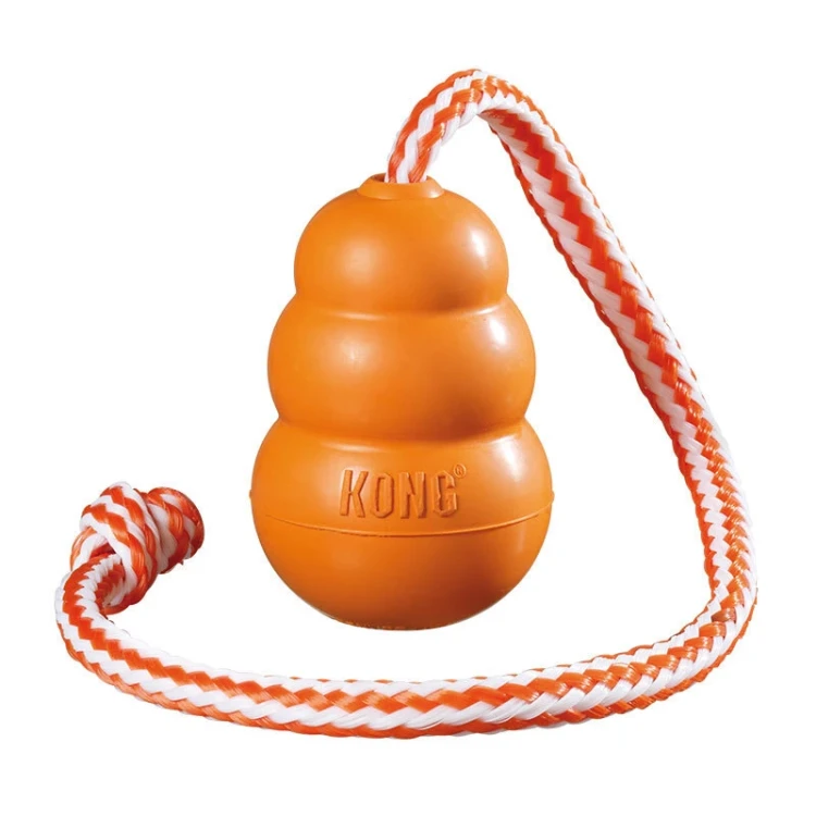 KONG AQUA.webp