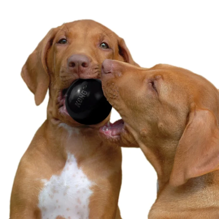 kong_extremeball 1.webp