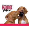 kong_extremeball 2.webp