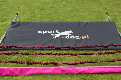 Long-jump_-Mondioring-skok-w-dal.webp