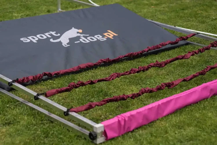 Long-jump_-Mondioring-skok-w-dal-1.webp