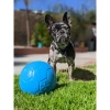 Piłka nożna dla psa Jolly Pets Soccer Ball