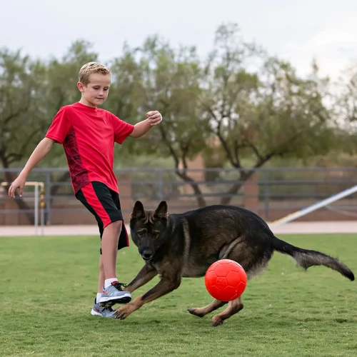 Piłka nożna dla psa Jolly Pets Soccer Ball