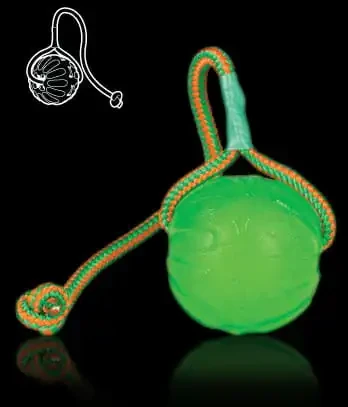 Swing-‘n-Fling-Chew-BALL®-Piłka-niepokonana-na-sznurku.webp