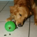Treat-Dispensing-Chew-Ball™-niepokonana-4.webp