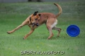 Frisbee-Easy-Glider-Durafoam-3.webp
