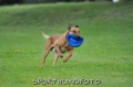 Frisbee-Easy-Glider-Durafoam-4.webp
