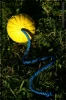 Piłka-pływająca-mała-2.webp