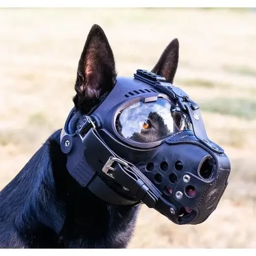 kaganiec-bojowy-do-hełmu-K9-HELM-5.webp