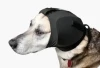 Ochraniacze-uszu_-Rex-Spec-K9-2.webp