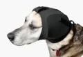 Ochraniacze-uszu_-Rex-Spec-K9-2.webp