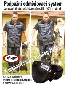 System nagradzania HST