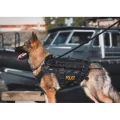 Uprząż-MULTI-K9-2.webp