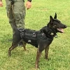 Uprząż-MULTI-K9-3.webp