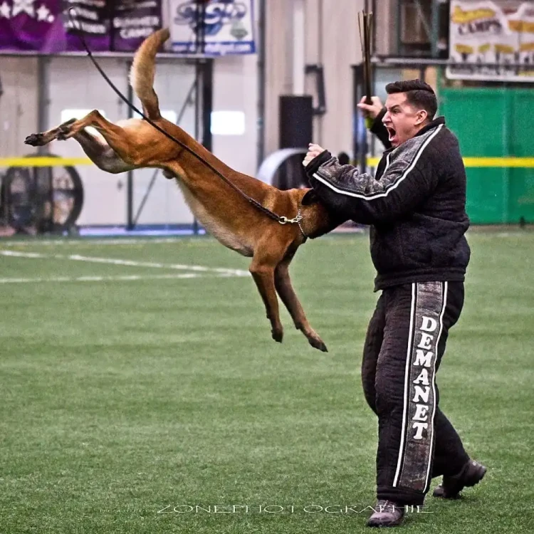 Kostium-Demanet-semi-competition_-zawody-zwiększona-ochrona-6.webp