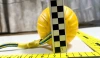 Swing-‘n-Fling-DuraFoam-Fetch-BALL™Piłka-na-sznurku-Starmark-5.webp