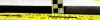 Bat-HST-4.webp