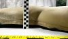 Kompletne-ramię-do-gryzienia-cywilnego-SAS-FULL-_6_.webp