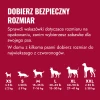 KXLE_EDU_1_PL.webp