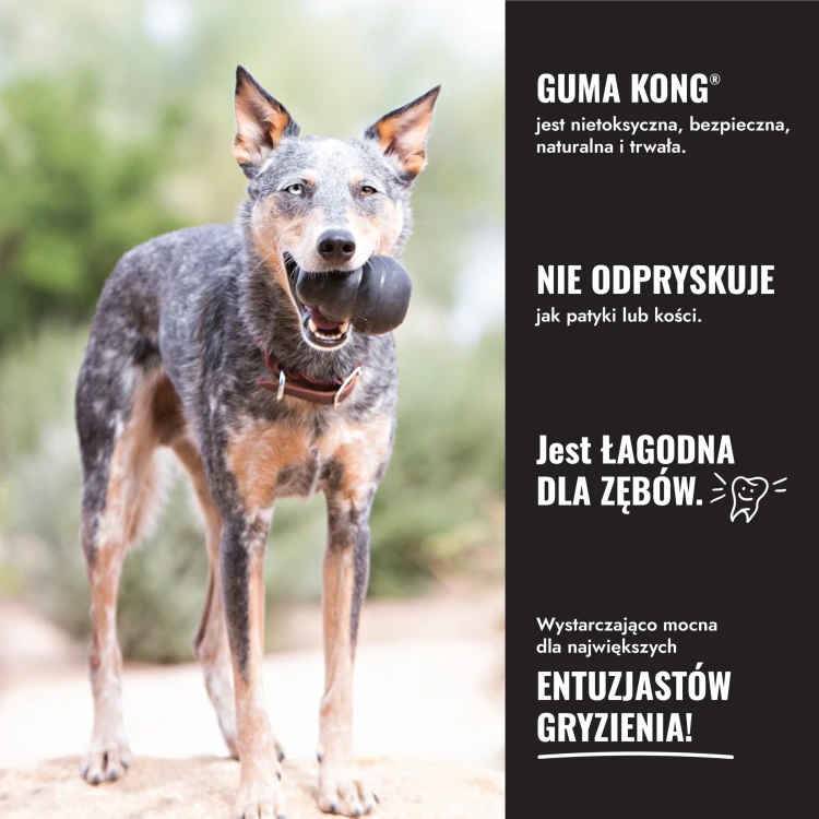 UXLE_EDU_6_PL.webp