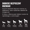 UXLE_EDU_1_PL_medium.webp