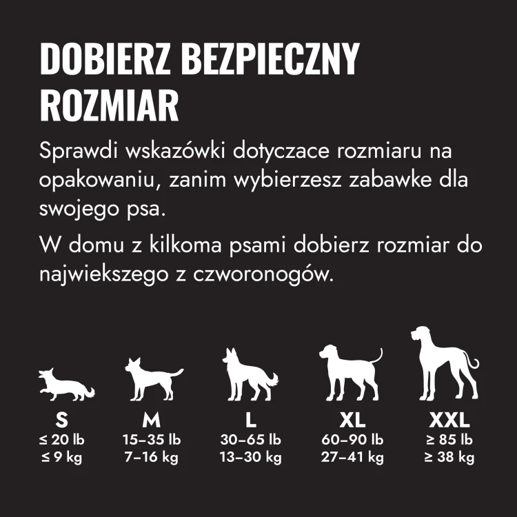 UXLE_EDU_1_PL_medium.webp